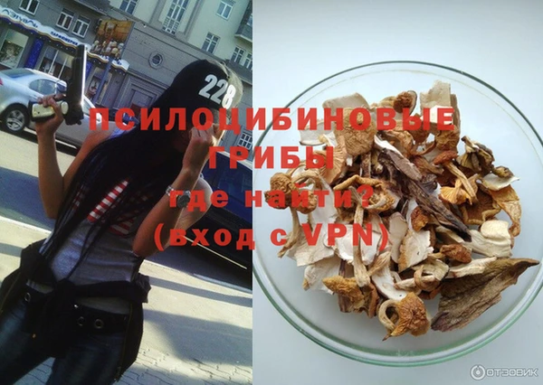 твердый Аркадак