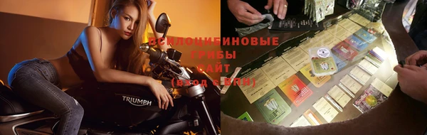 твердый Аркадак