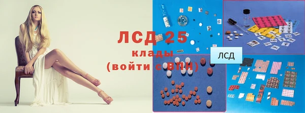прущие грибы Белоозёрский
