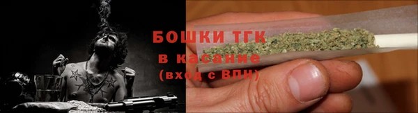 прущие грибы Белоозёрский