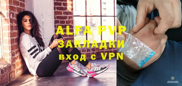 прущие грибы Белоозёрский